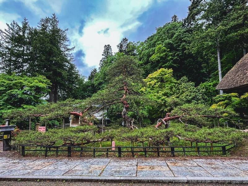 常楽寺,長野県上田市別所温泉２３４７