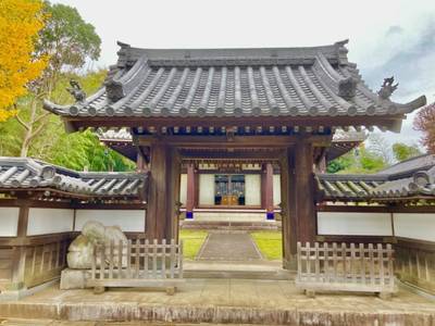 妙蓮寺 (柏市),見どころ,ありすと