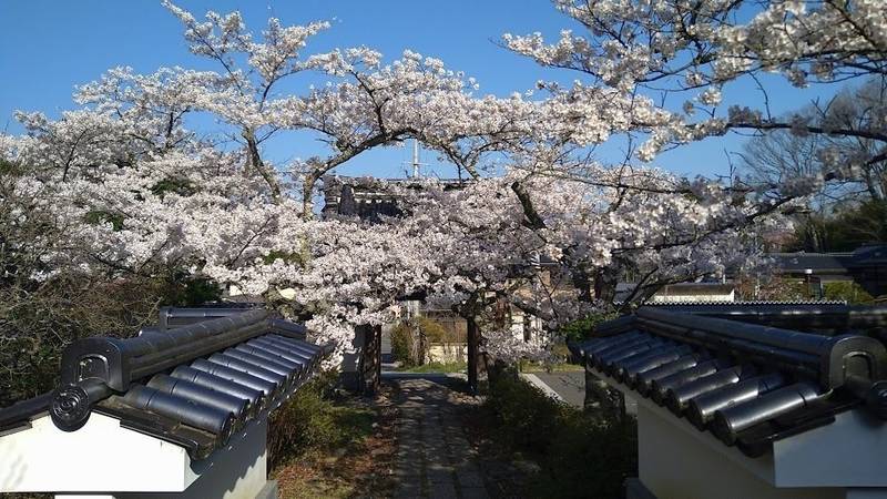 福聚寺,福島県田村郡三春町字御免町１９４