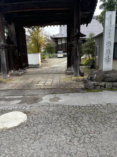 西徳寺,見どころ,sasaki3