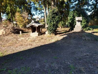 長良神社 (大佐貫),見どころ,おうぎ