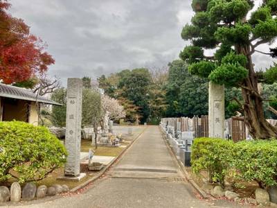 妙蓮寺 (柏市),見どころ,ありすと