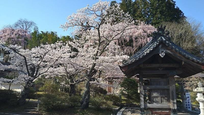 福聚寺,福島県田村郡三春町字御免町１９４