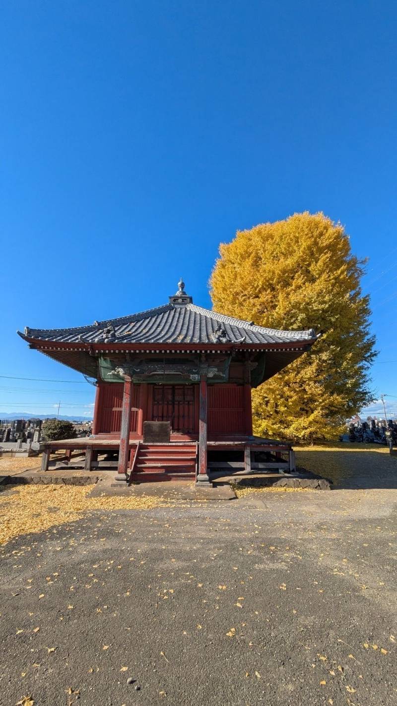 浄蔵寺,群馬県太田市堀口町223