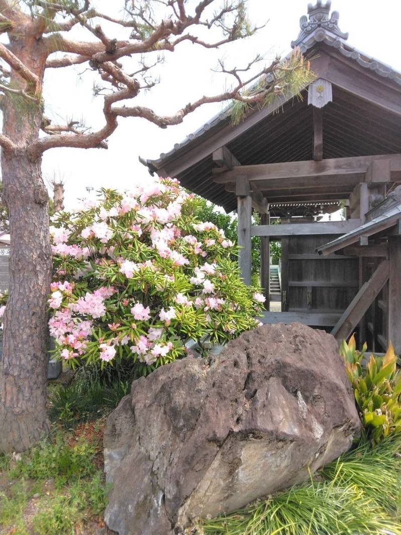慈眼山 観福寺,埼玉県行田市南河原１５００−１