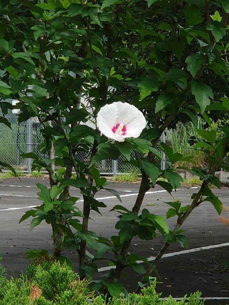 久法寺,京都府福知山市三和町草山６１８