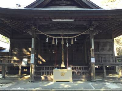 新宮神社 南国市 高知県 Omairi おまいり