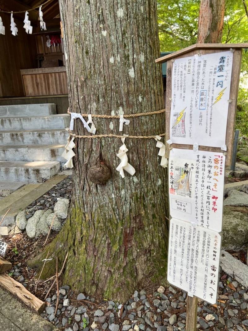 正八幡宮,長野県飯田市上村714