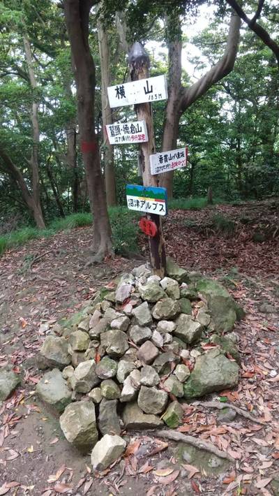 楊原神社 沼津市/静岡県 Omairi(おまいり)