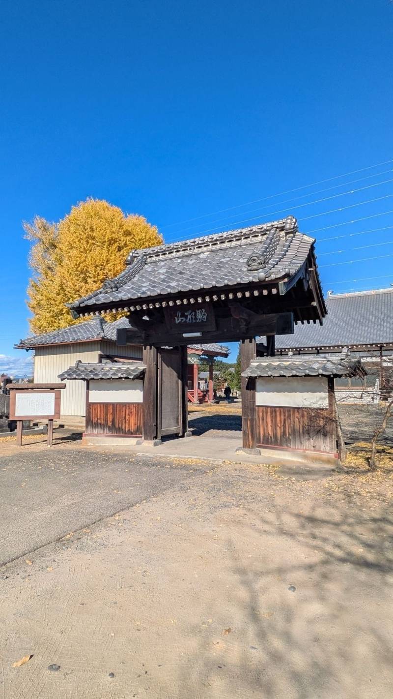 浄蔵寺,群馬県太田市堀口町223