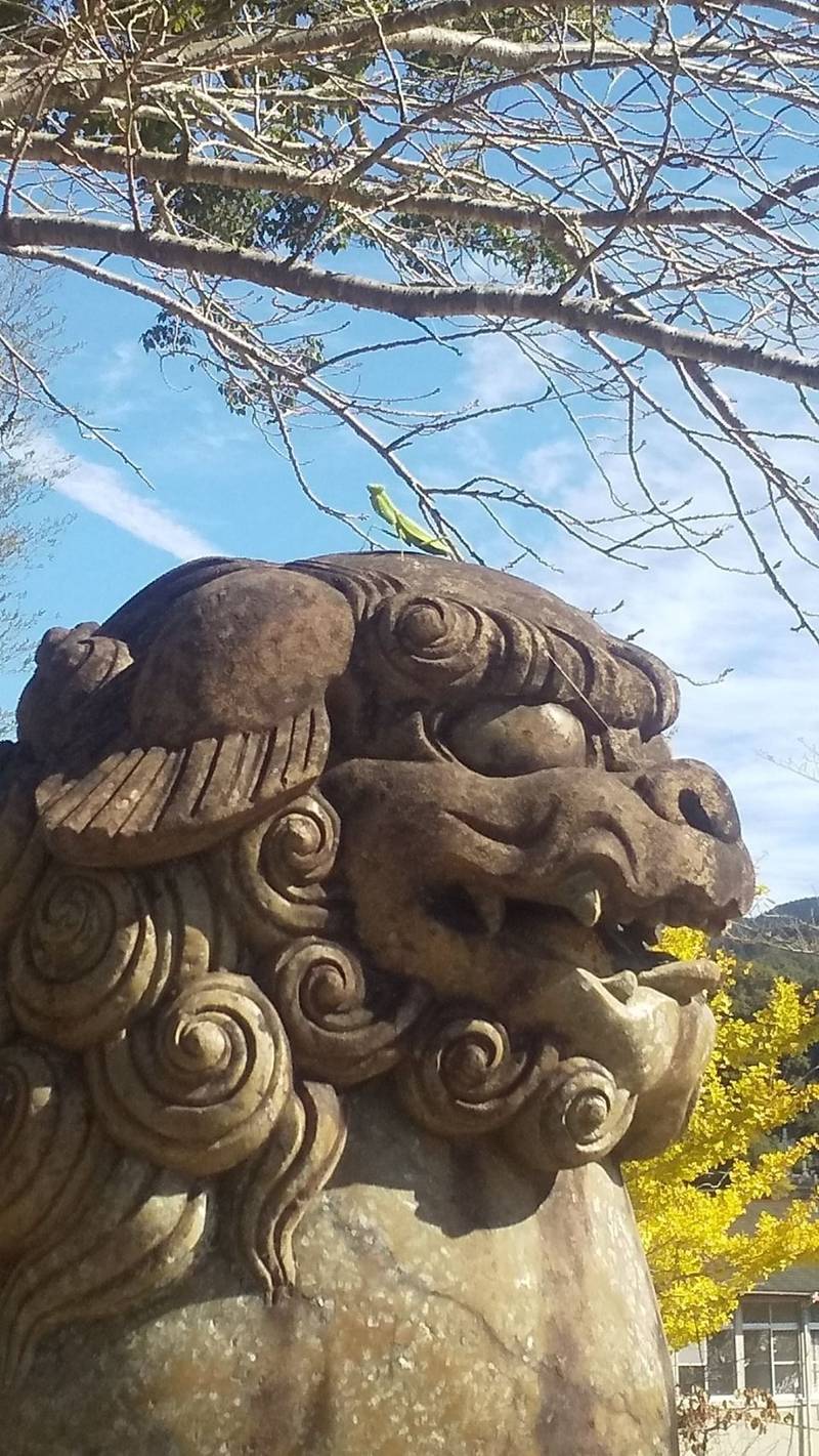 古賀八幡神社,長崎県長崎市古賀町1064