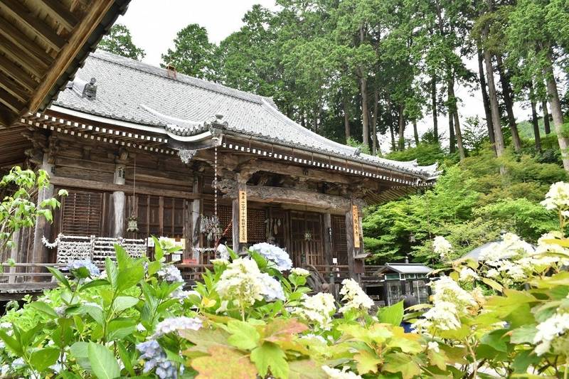 N0hzpaun5osezm N0hzpaun5osezm