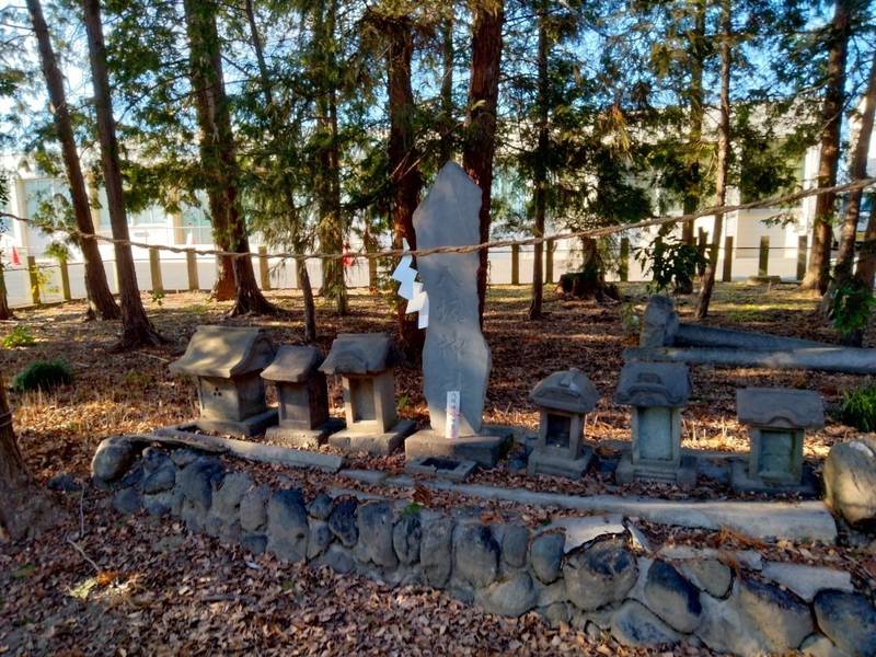 南市田神社,埼玉県熊谷市中曽根140