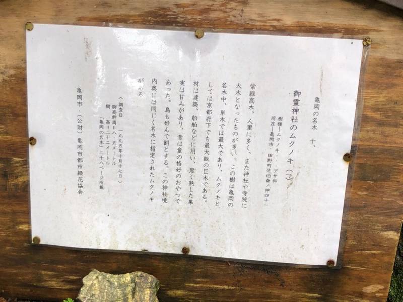 御陵神社,京都府亀岡市稗田野町佐伯斉ノ神