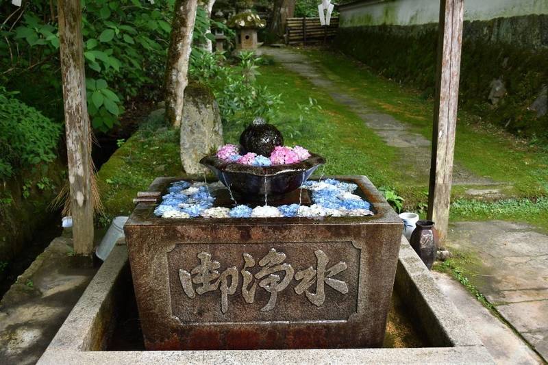 N0hzpaun5osezm N0hzpaun5osezm