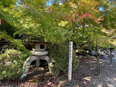 寳蔵寺,見どころ,GT23