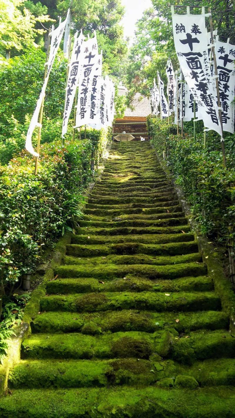 杉本寺 見どころ 鎌倉市 神奈川県 Omairi おまいり