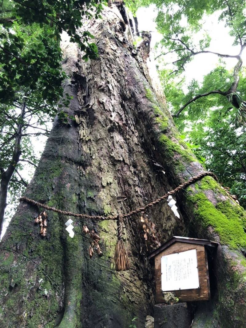 御陵神社,京都府亀岡市稗田野町佐伯斉ノ神