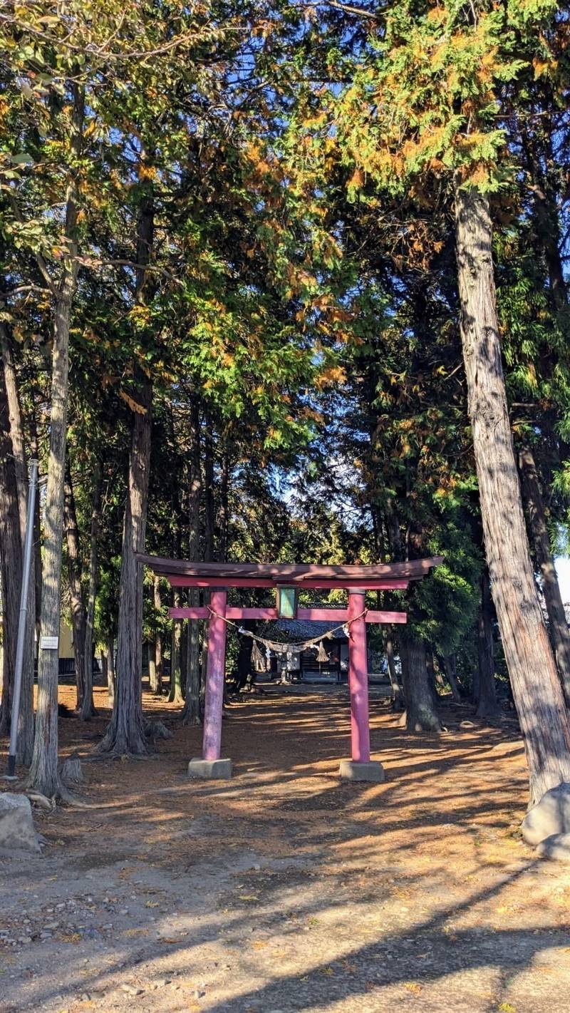 飯玉神社   (上大類町),群馬県高崎市上大類町1239