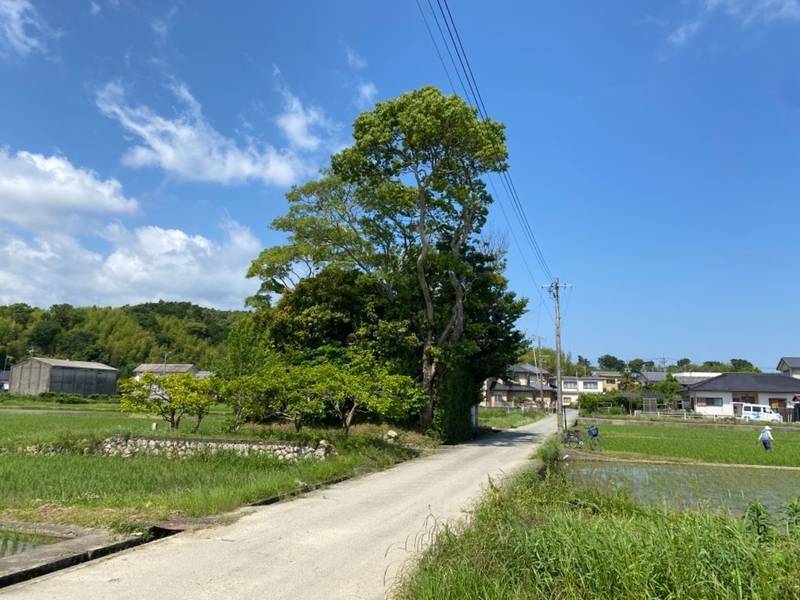 加努弥神社,三重県伊勢市鹿海町字大野間1100-2