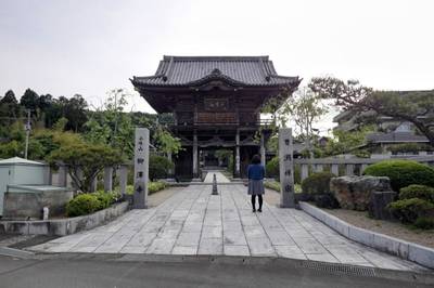柳澤寺 (柳沢寺),見どころ,平沢凛