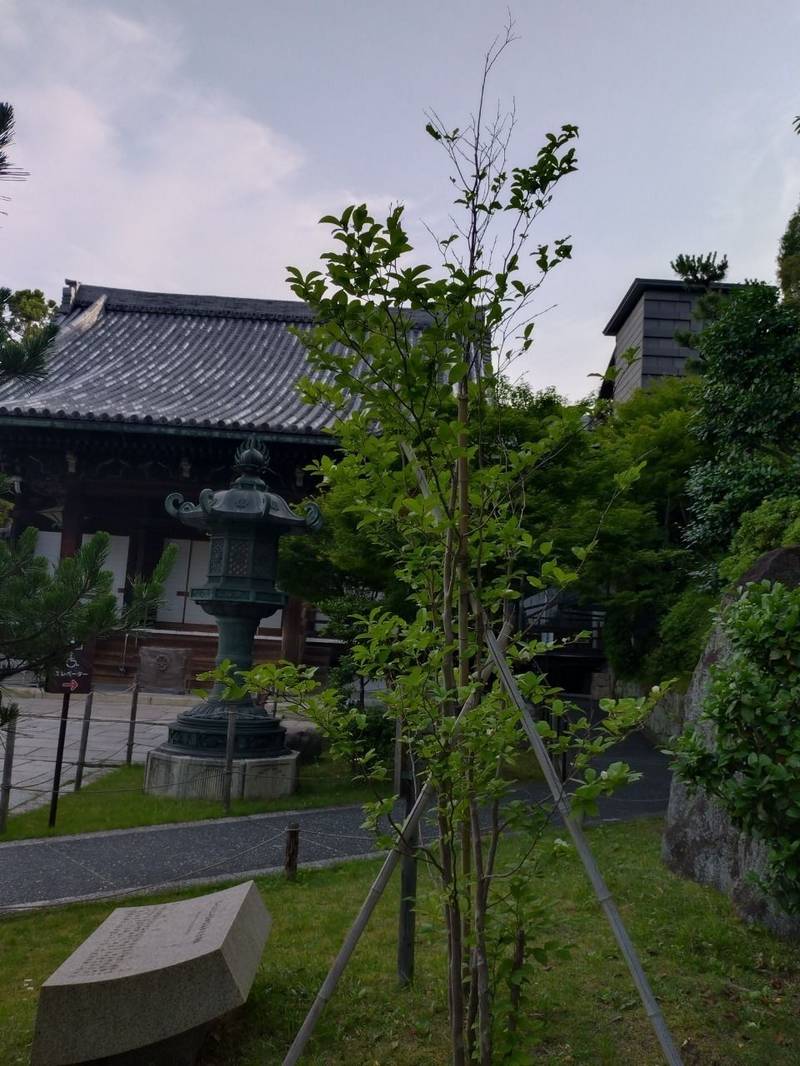 大谷祖廟,京都府京都市東山区円山町477