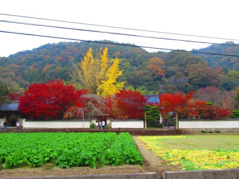 法泉寺,香川県観音寺市大野原町田野々224-2