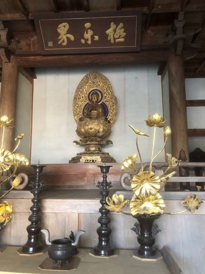 正法寺,見どころ,たまねぎ