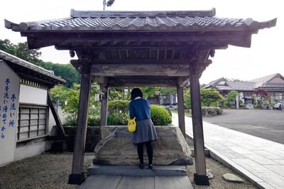 柳澤寺 (柳沢寺),見どころ,平沢凛