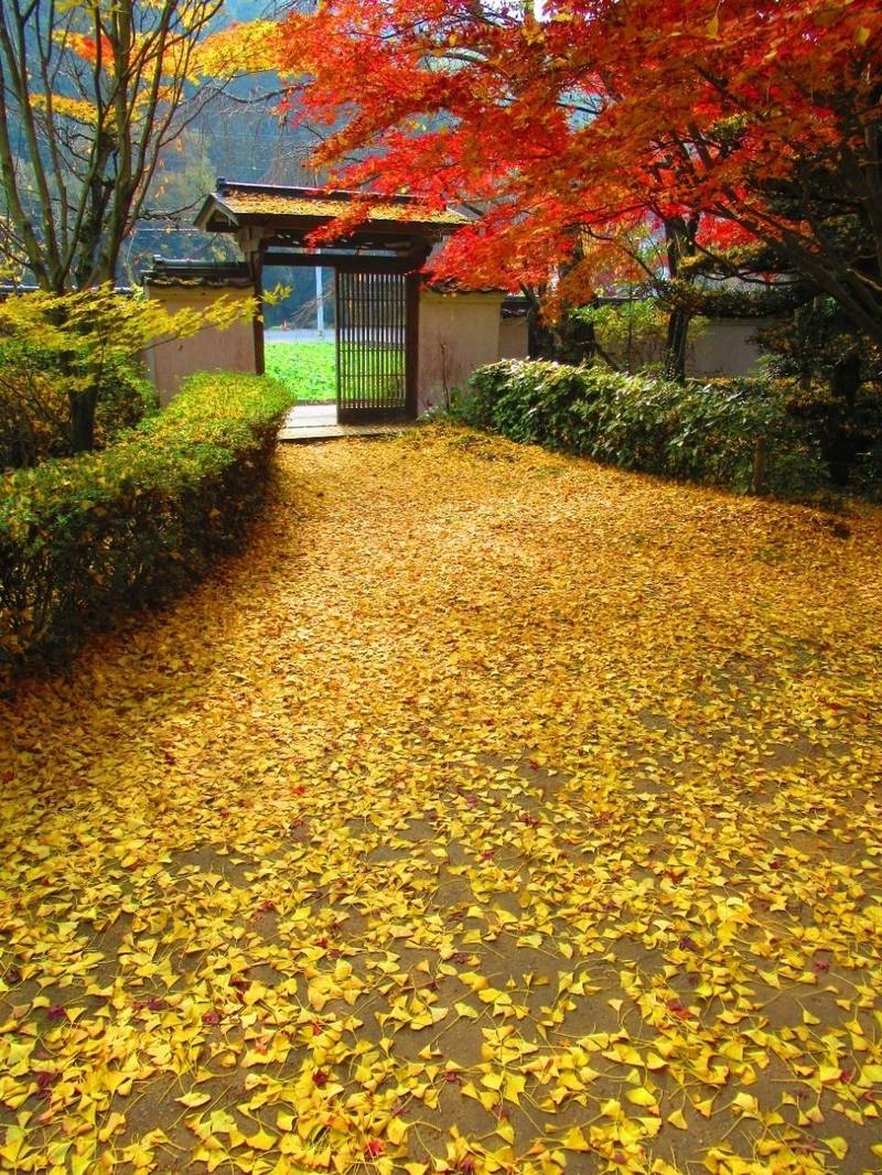 法泉寺,香川県観音寺市大野原町田野々224-2
