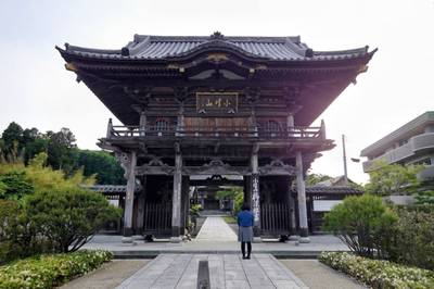 柳澤寺 (柳沢寺),見どころ,平沢凛