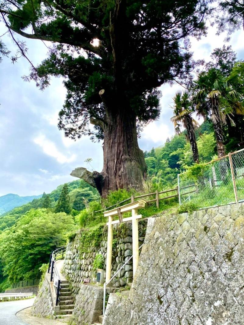 熊野神社 (中川) 見どころ - 足柄上郡山北町/... | Omairi(おまいり)