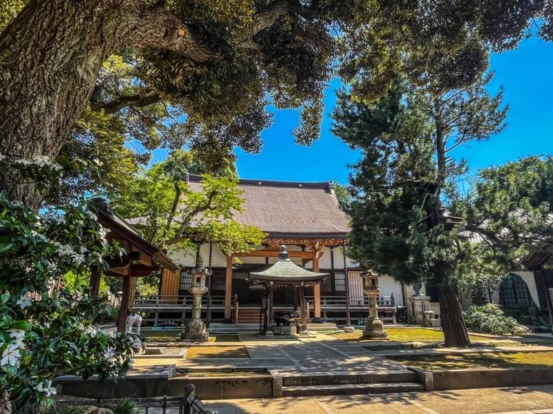 圓明院,東京都練馬区錦1-19-25