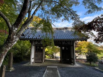 寳蔵寺,見どころ,GT23