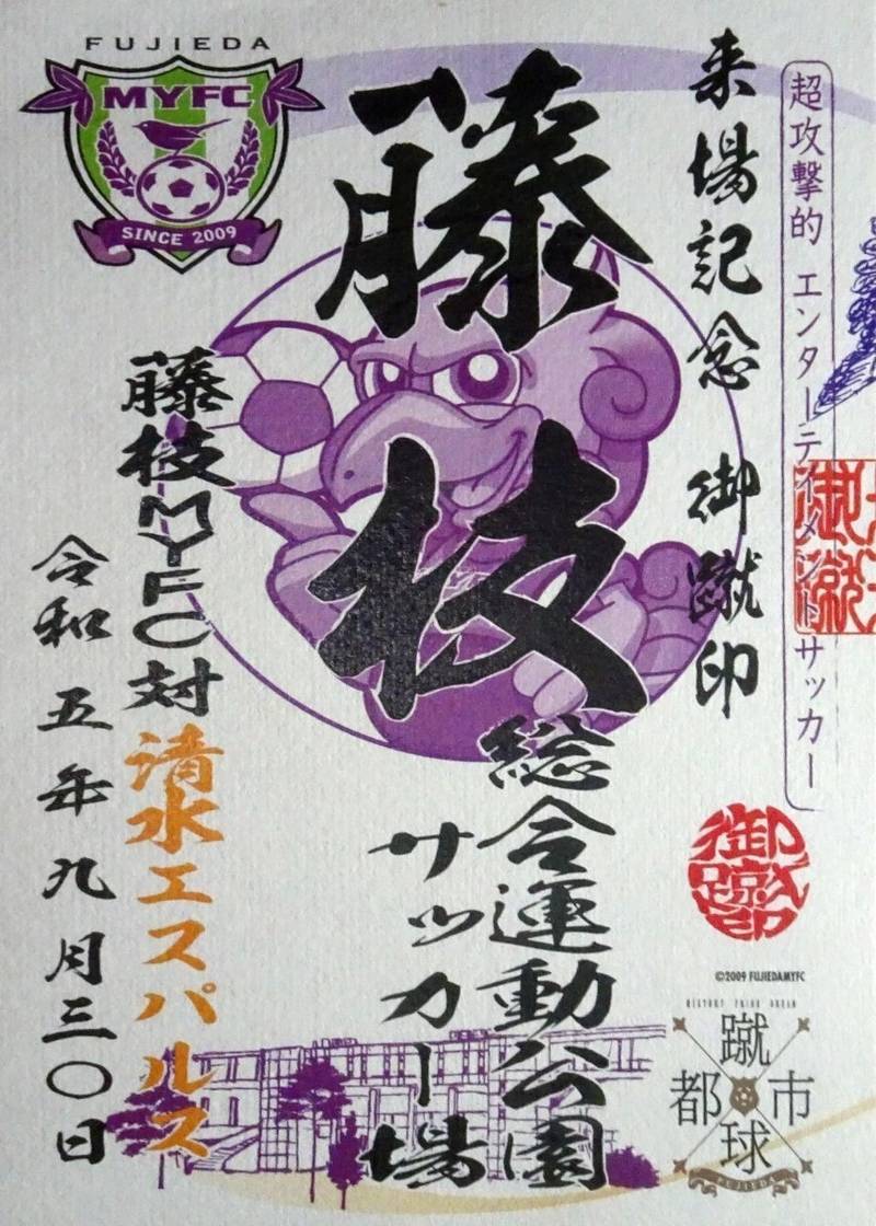 藤枝総合運動公園サッカー場,静岡県藤枝市原100