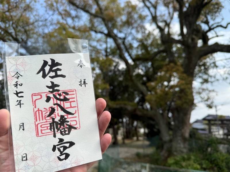 佐志八幡宮,佐賀県唐津市佐志中通4014番地