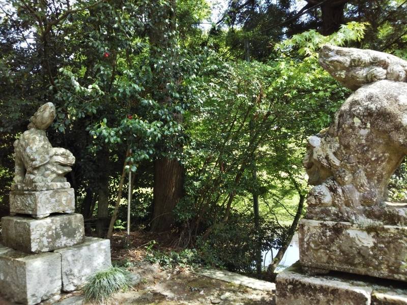 丸山神社,鳥取県日野郡日南町丸山373