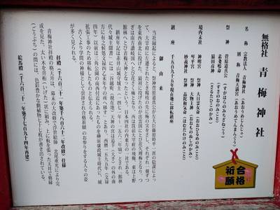 青梅神社,見どころ,おうぎ