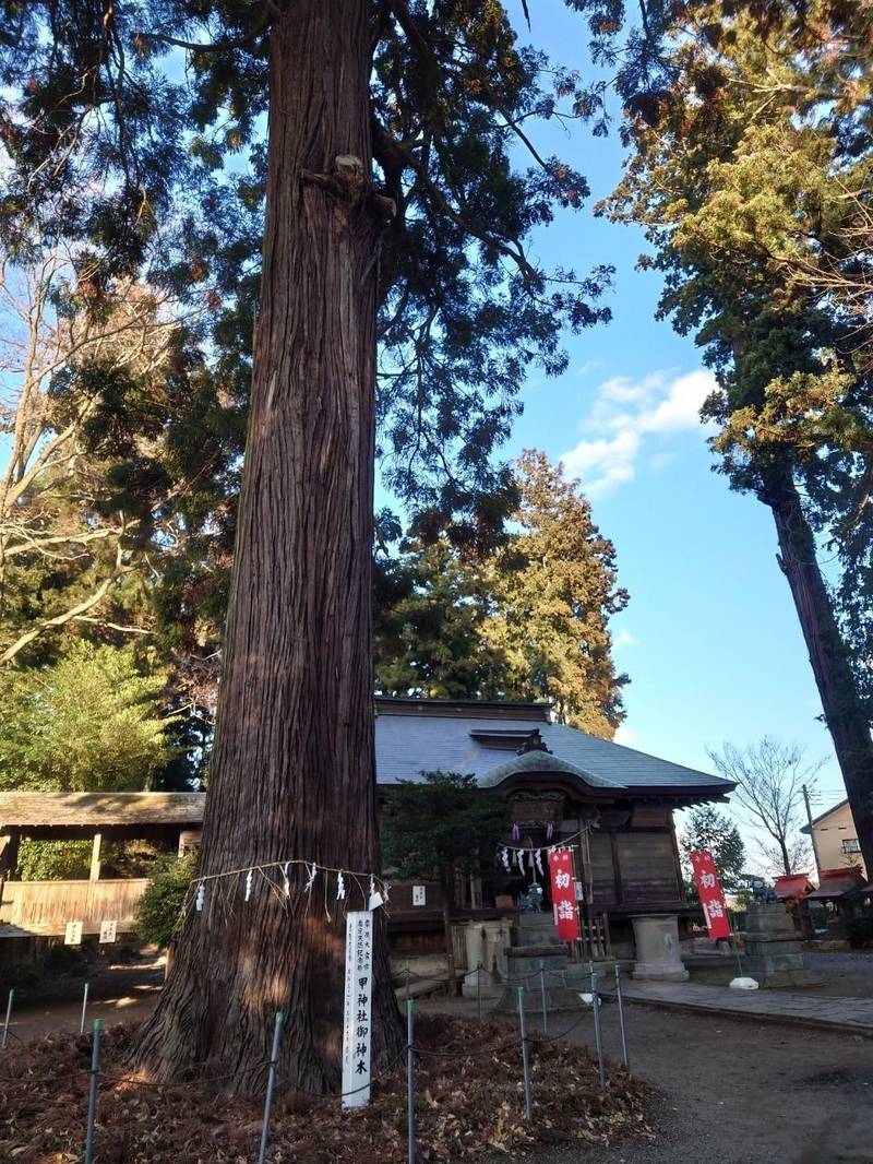 甲神社,茨城県常陸大宮市下町２２１