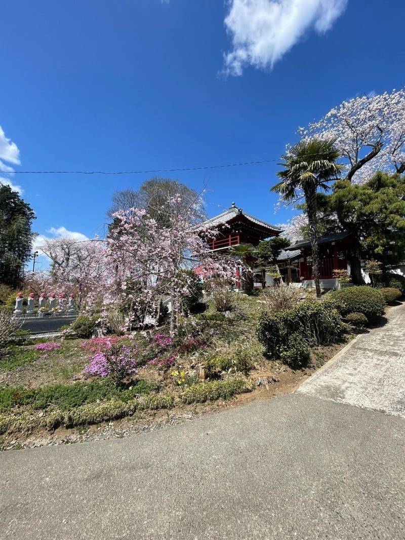 大雲寺,茨城県桜川市富谷1721