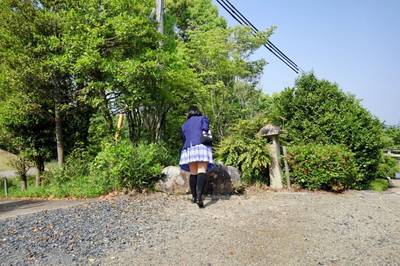 河邊神社,見どころ,平沢凛