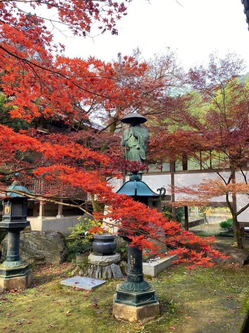 法泉寺,香川県観音寺市大野原町田野々224-2